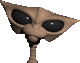 Avatar de l’utilisateur